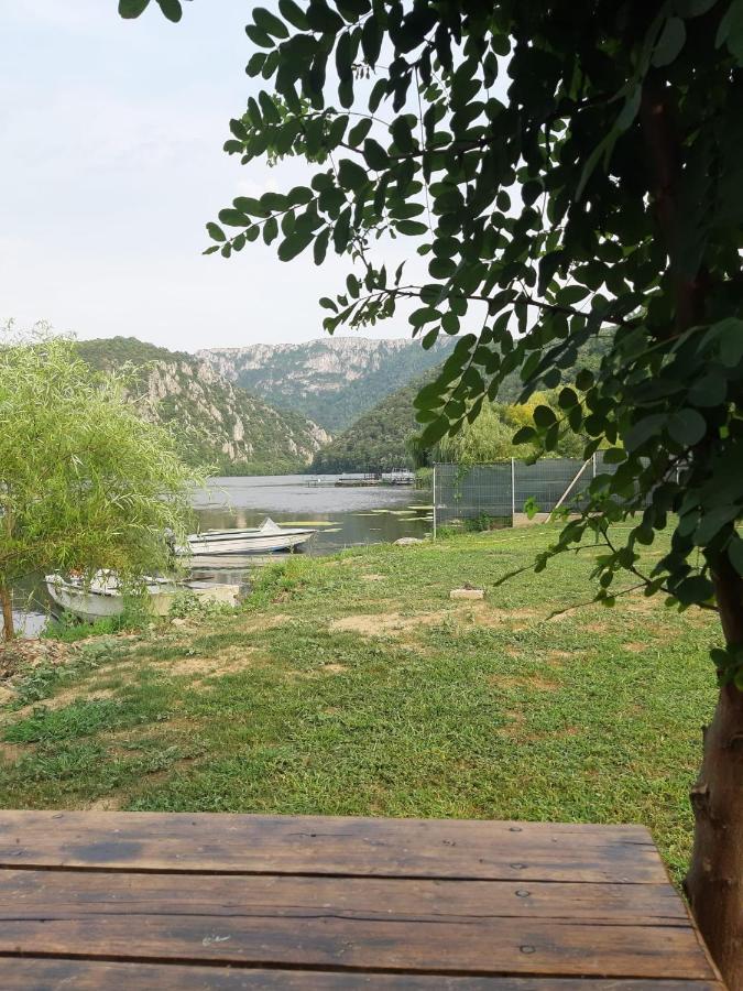 Casa Colt De Rai Διαμέρισμα Ogradina Εξωτερικό φωτογραφία