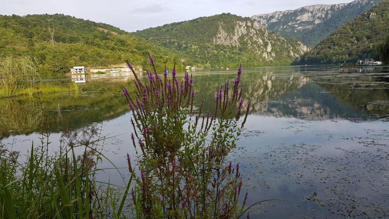 Casa Colt De Rai Διαμέρισμα Ogradina Εξωτερικό φωτογραφία