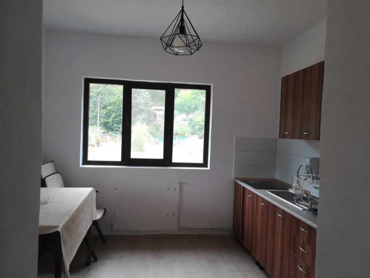 Casa Colt De Rai Διαμέρισμα Ogradina Εξωτερικό φωτογραφία