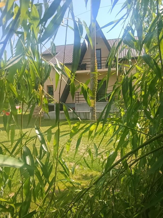 Casa Colt De Rai Διαμέρισμα Ogradina Εξωτερικό φωτογραφία